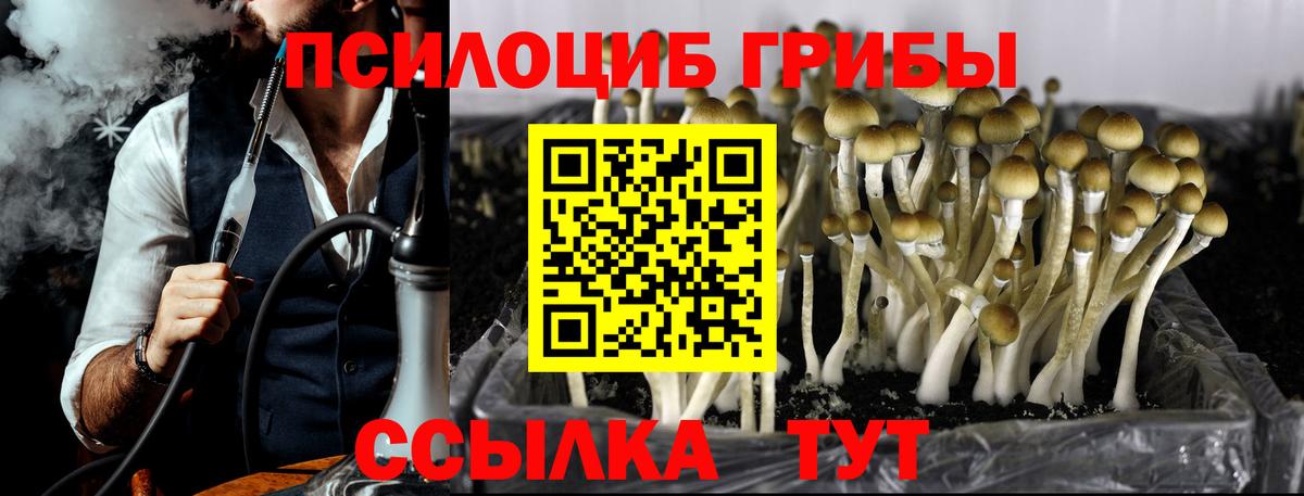 Галлюциногенные грибы MAGIC MUSHROOMS Наро-Фоминск