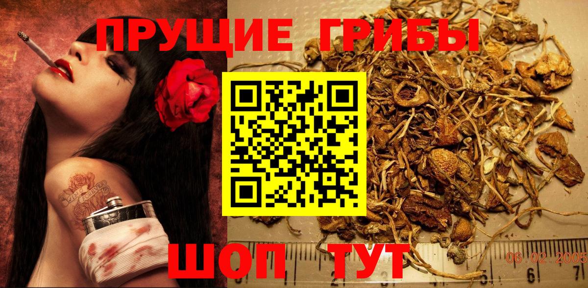 Псилоцибиновые грибы Psilocybine cubensis  Галлюциногенные грибы Psilocybe  Наро-Фоминск  где продают наркотики  Вход с VPN 